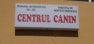 Padocul Primariei Municipiului Targu Jiu Padocul Primariei Municipiului Targu Jiu