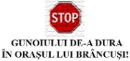  STOP  GUNOIULUI DE-A DURA ÎN ORAŞUL LUI BRÂNCUŞI!