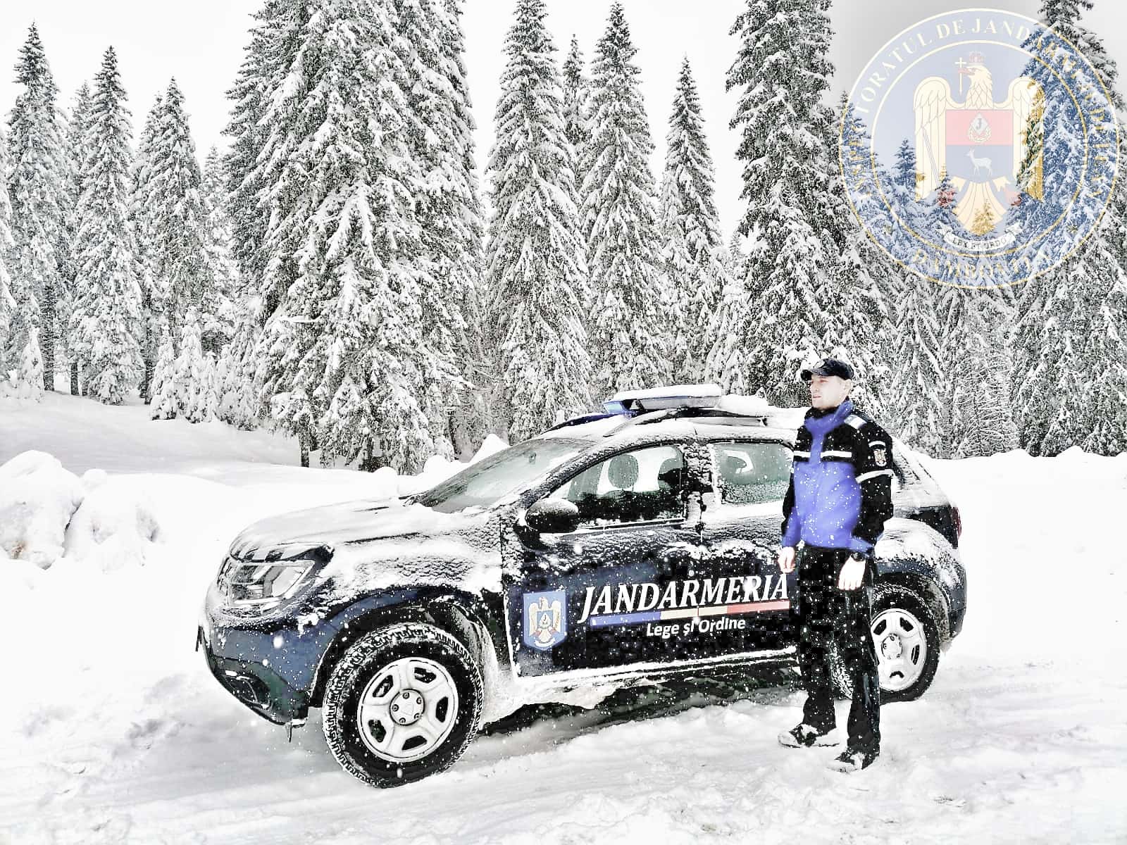 Au cerut ajutorul jandarmilor montani