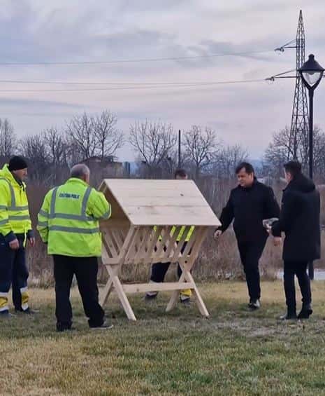 Hrănitoare pentru căprioare în Parcul Narciselor