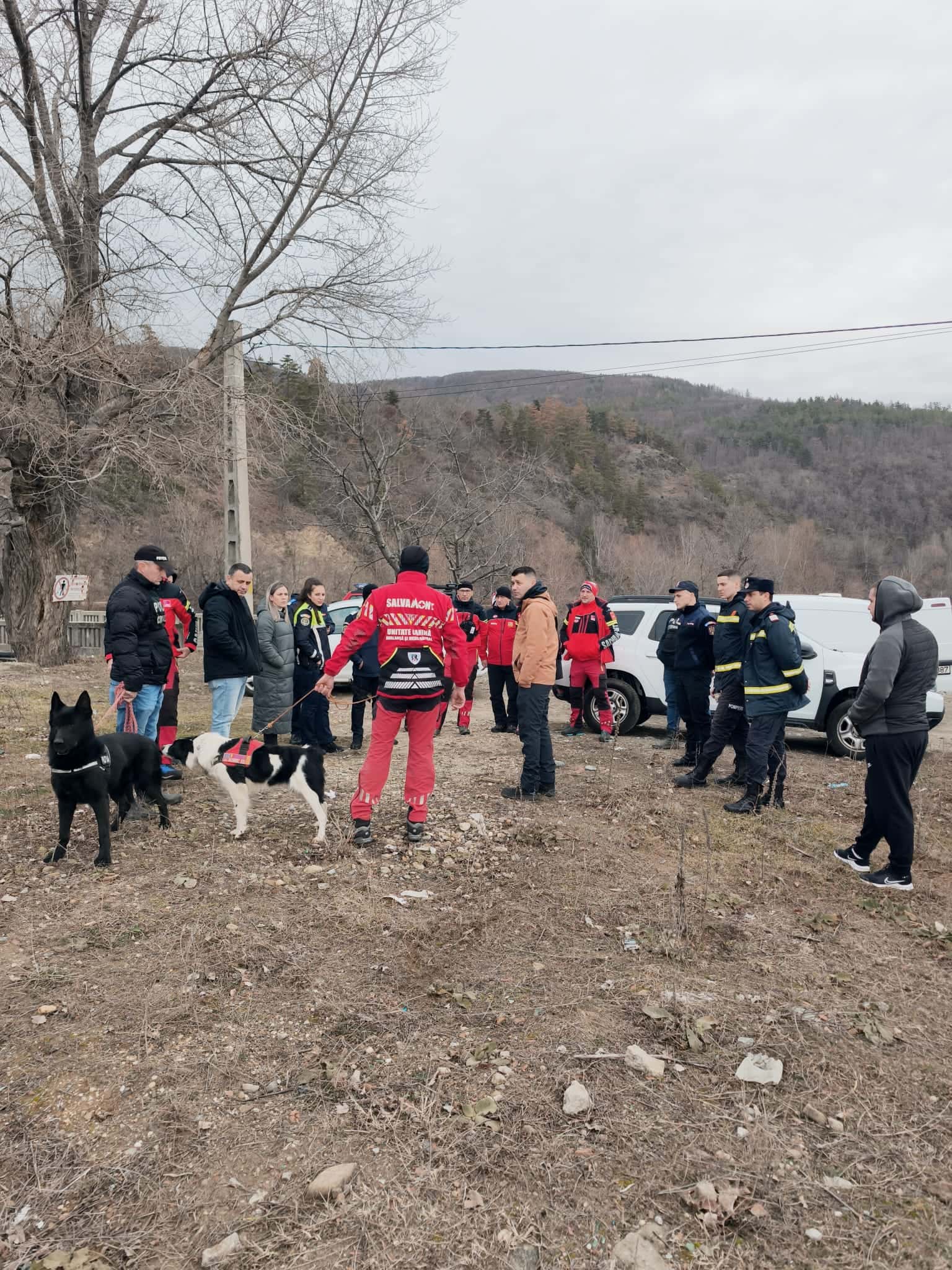 Femeie de 93 de ani, dispărută de la domiciliu