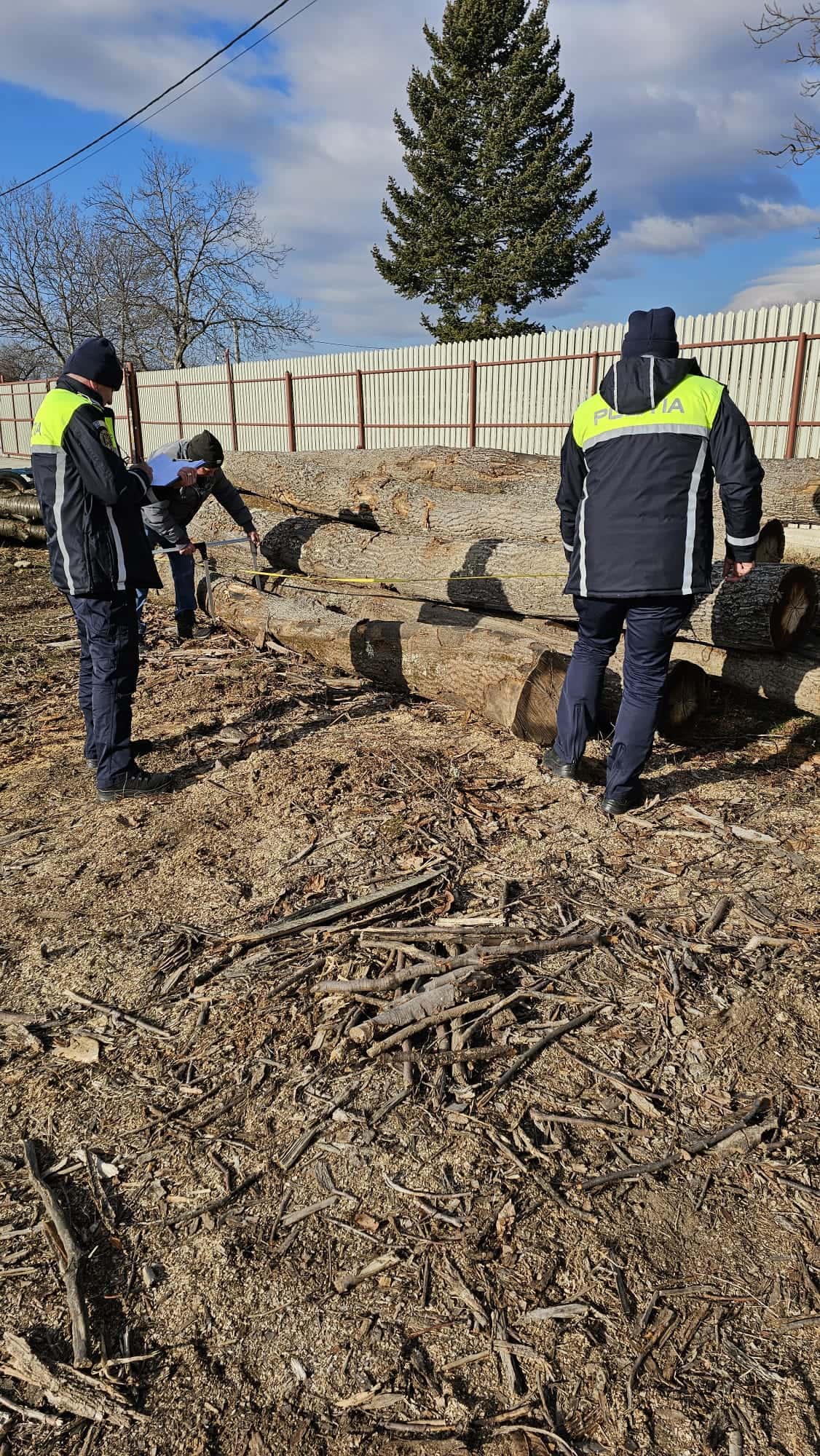 Depozit de material lemnos din Novaci, verificat de polițiști