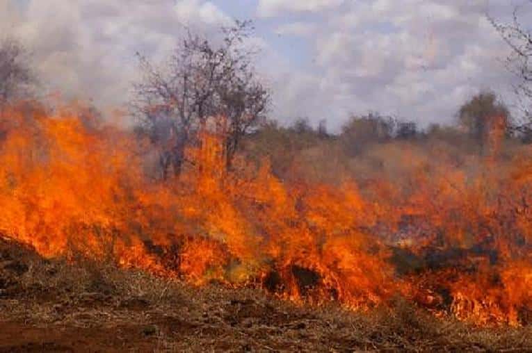 Incendiu de vegetație în comuna Arcani