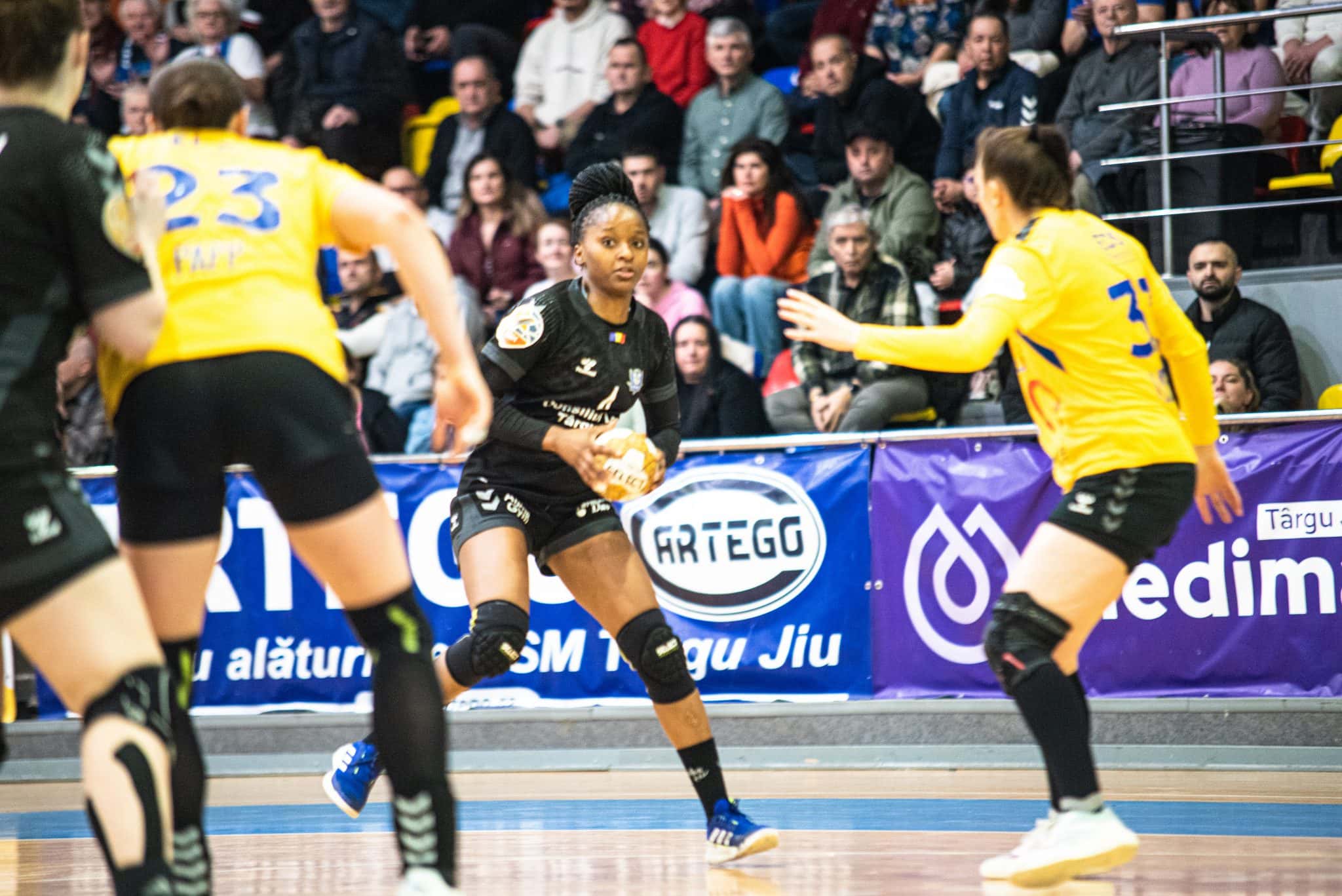 FOTO/ CSM Târgu Jiu a încheiat la egalitate cu Minaur în etapa a 18-a din Liga Florilor, scor 29-29
