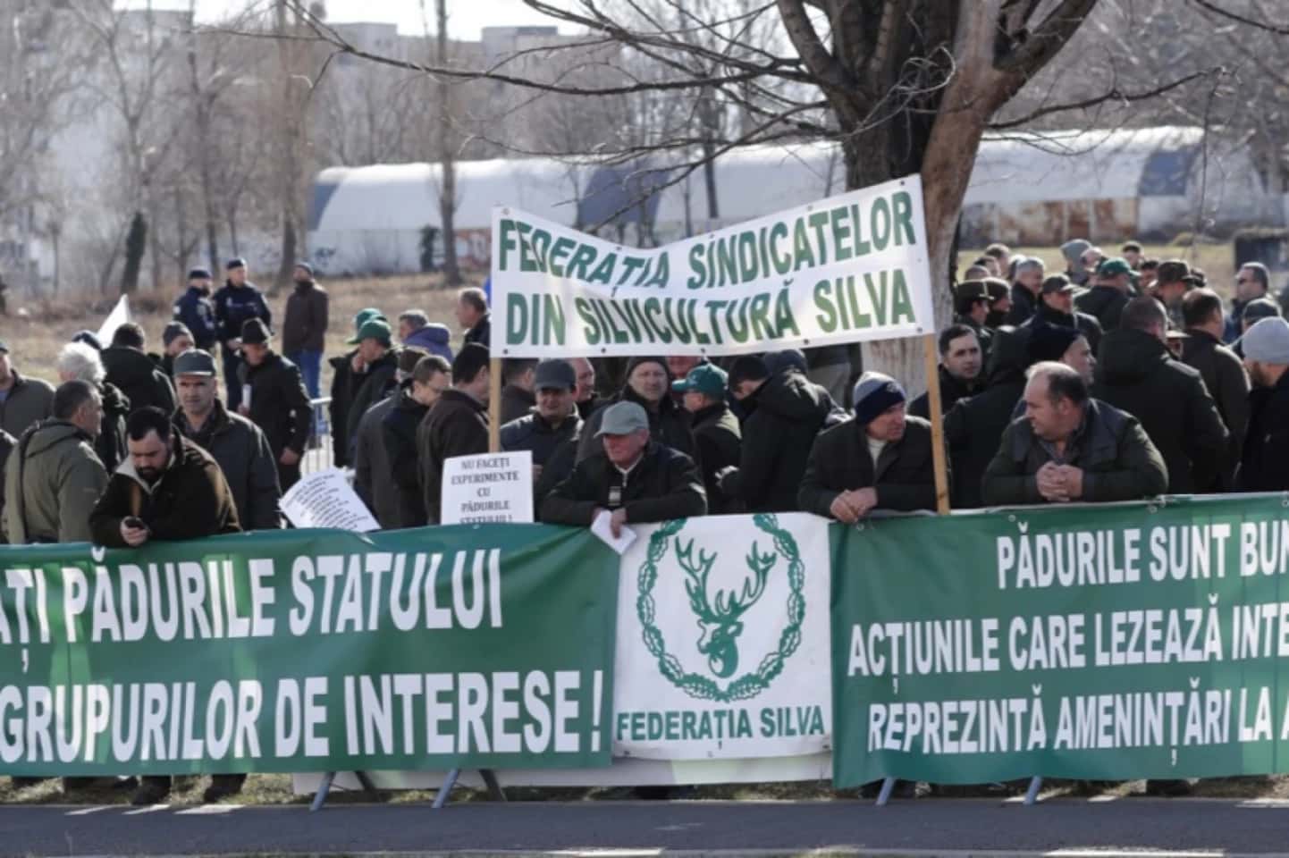 Silvicultorii protestează, astăzi, în faţa Ministerului Mediului