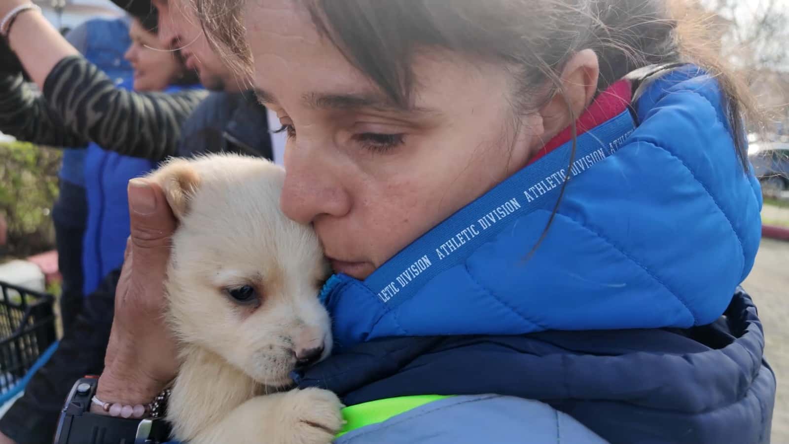 Târgul de adopții organizat la Motru s-a bucurat de succes
