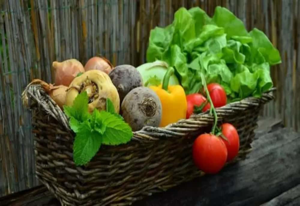 Sprijin financiar pentru legumicultori: 1,5 euro pe metru pătrat pentru cultivarea legumelor în spații protejate