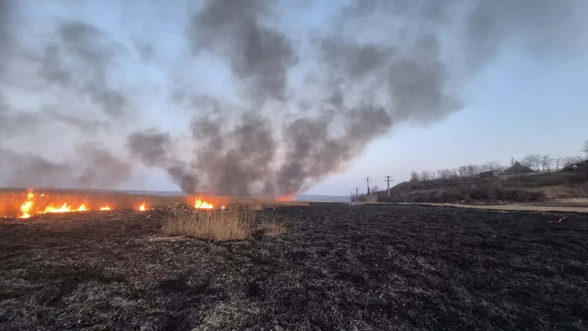 Fermierii ale căror terenuri sunt incendiate riscă să piardă bani din subvenția de la APIA