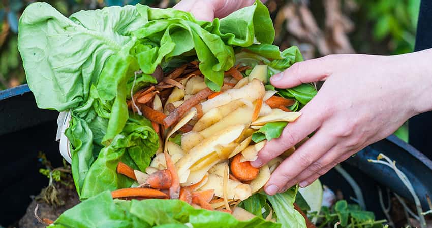Ghid pentru reducerea risipei alimentare
