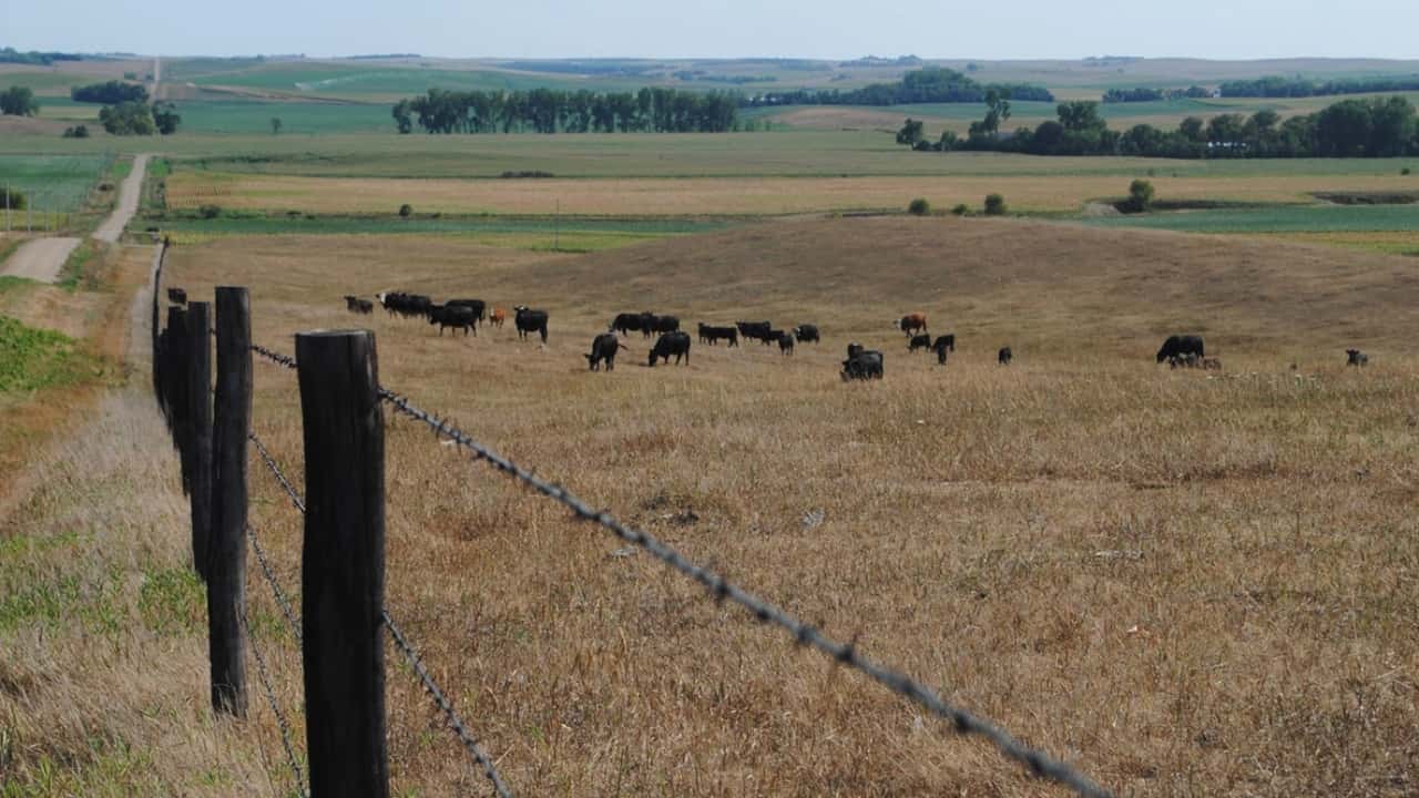 Sprijin APIA pentru fermierii afectați de secetă. Peste 8.300 de cereri depuse, plăți până în aprilie 2025