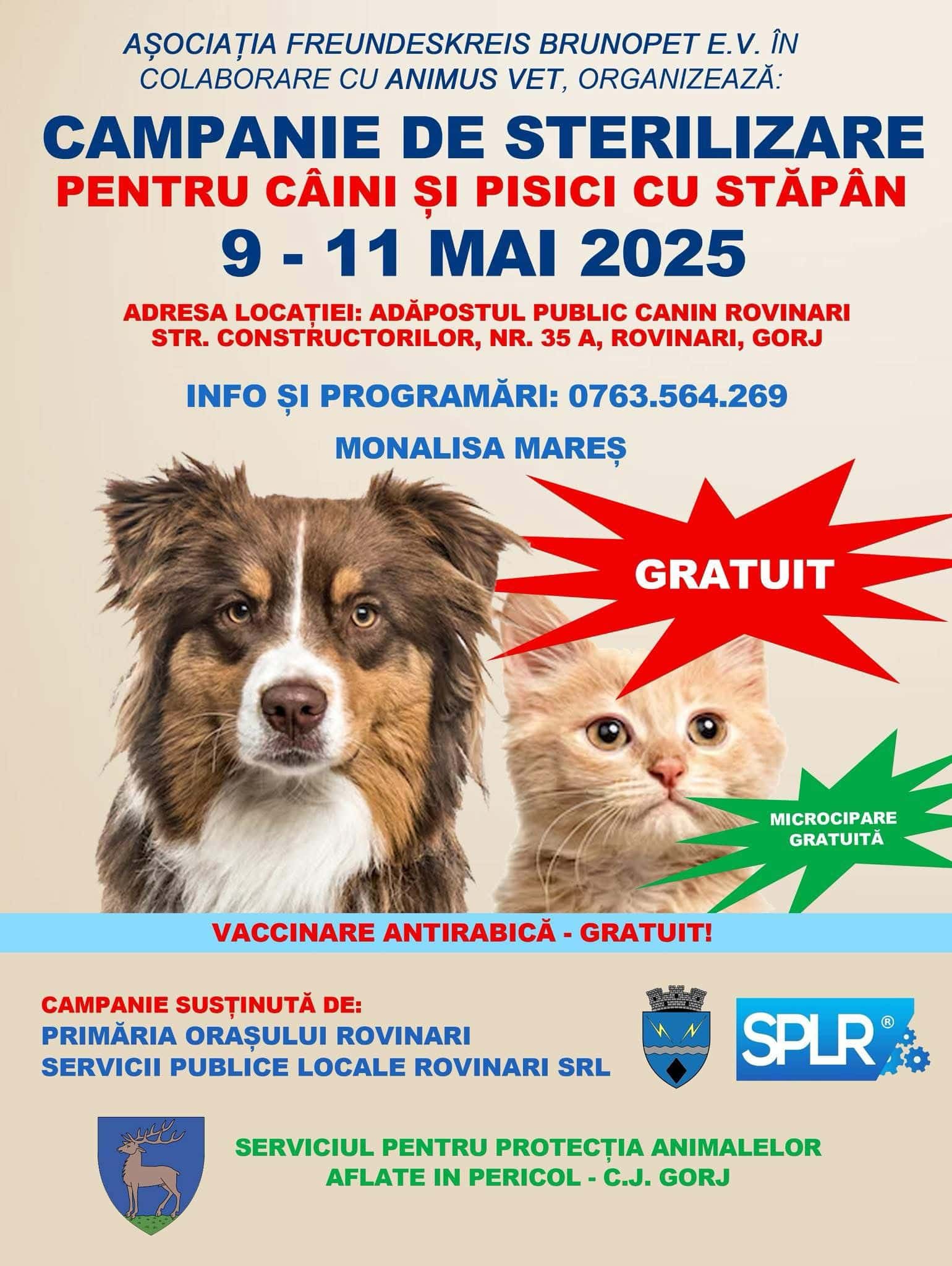 Campanie gratuită de sterilizare pentru câini și pisici cu stăpân, la Rovinari