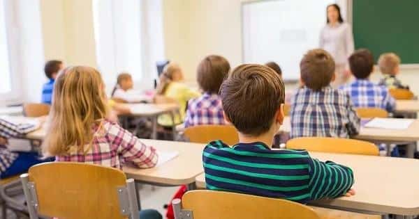 Șapte noi opţionale pentru elevi din toamnă