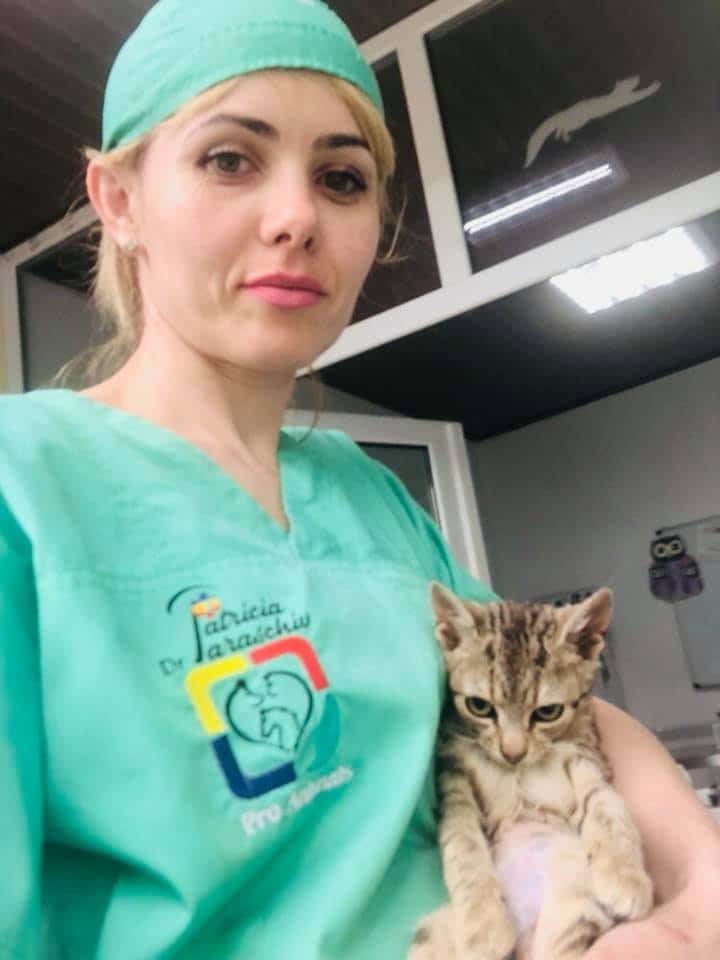 4 aprilie, Ziua Animalelor fără stăpân. Semnalul de alarmă tras de medicul veterinar Patricia Paraschiv