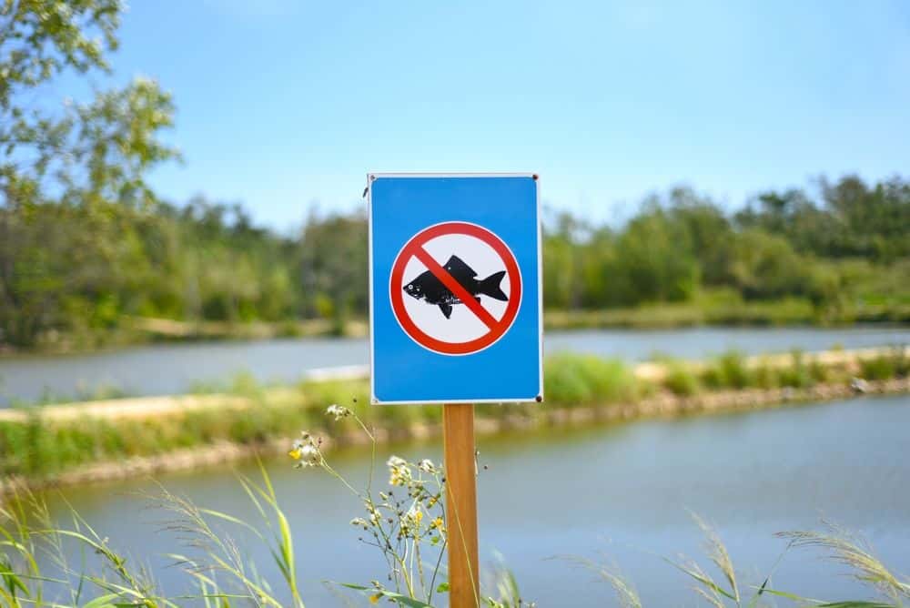Începe prohibiţia generală a pescuitului în România, în toate apele naturale