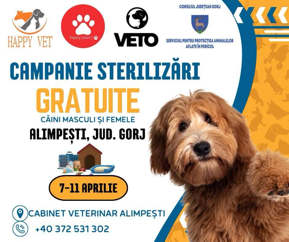 Campanie gratuită de sterilizare la Alimpești