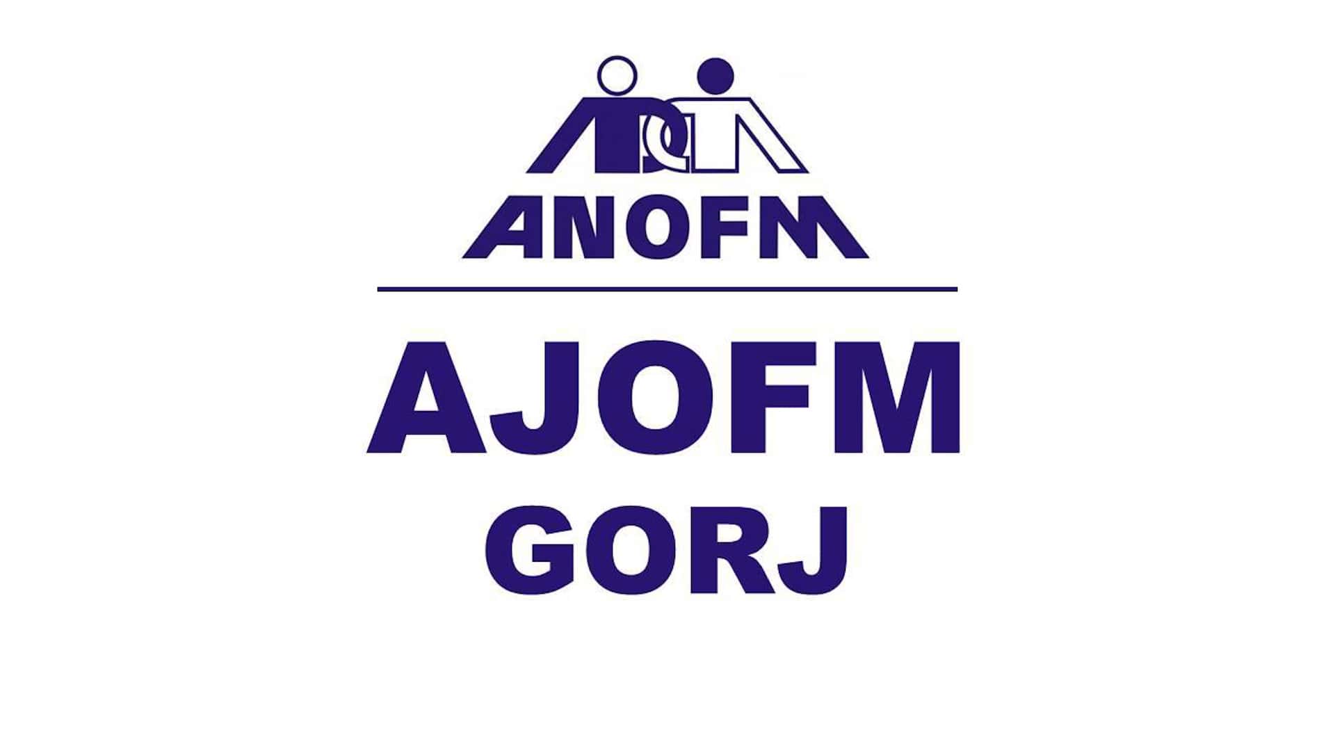 Absolvenții 2025 pot primi sprijin financiar și consiliere de la AJOFM Gorj