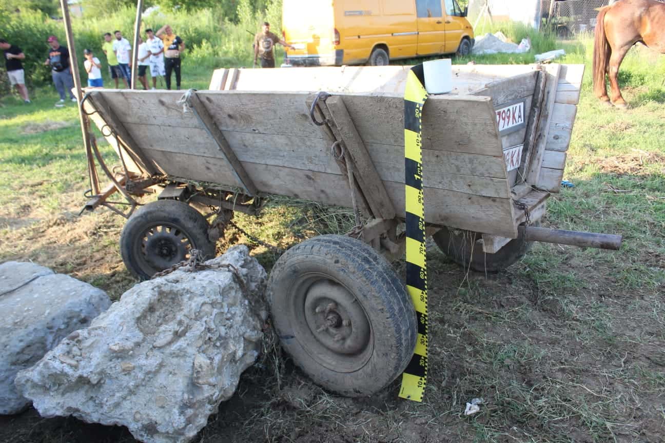 Cai chinuiți într-un concurs ilegal: trei bărbați reținuți