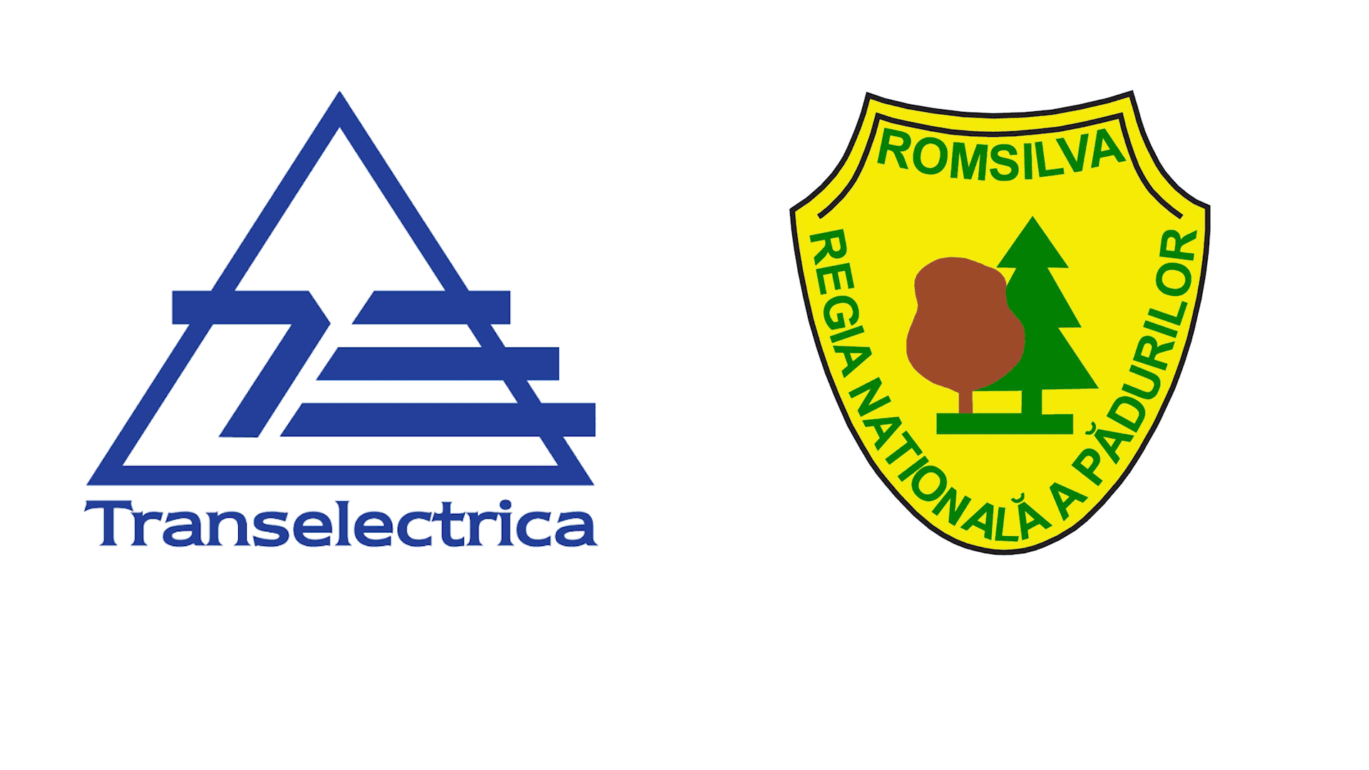 Prime ilegale de milioane descoperite la Transelectrica și Romsilva