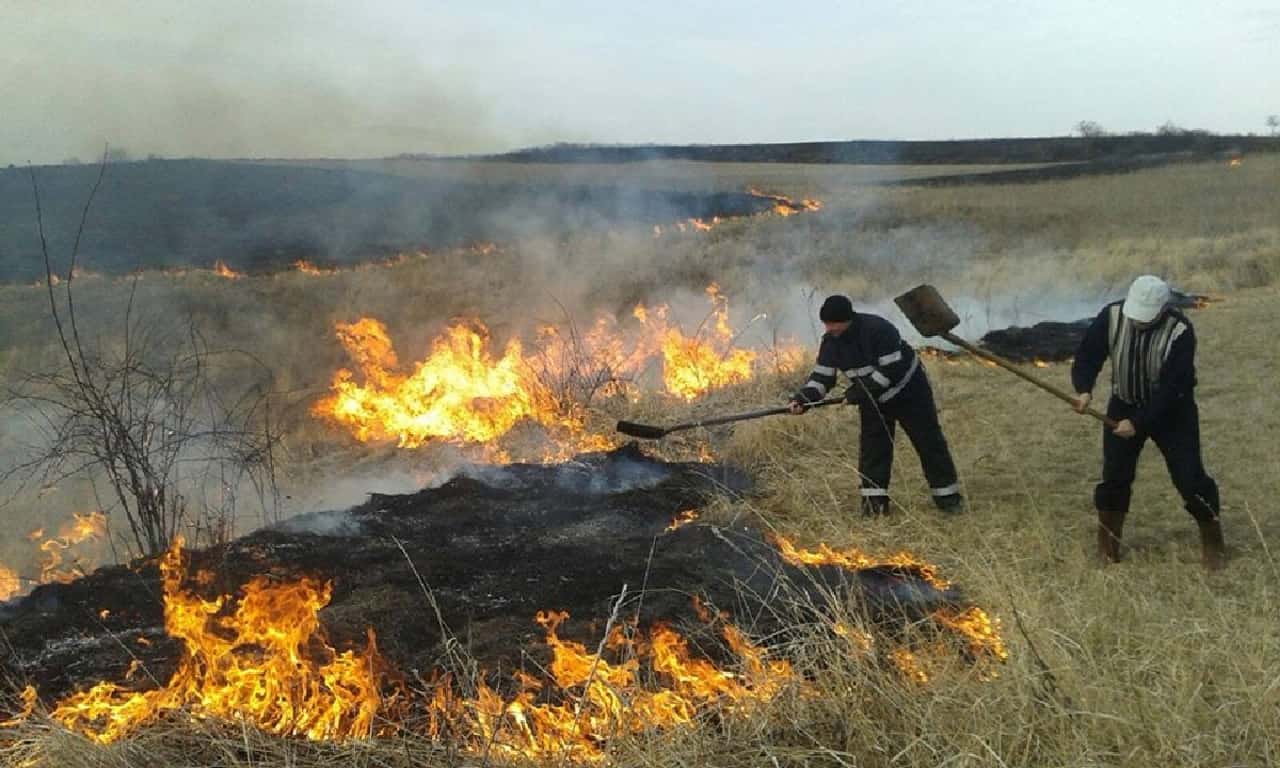 Județul Gorj, în vizor din cauza incendiilor de vegetație