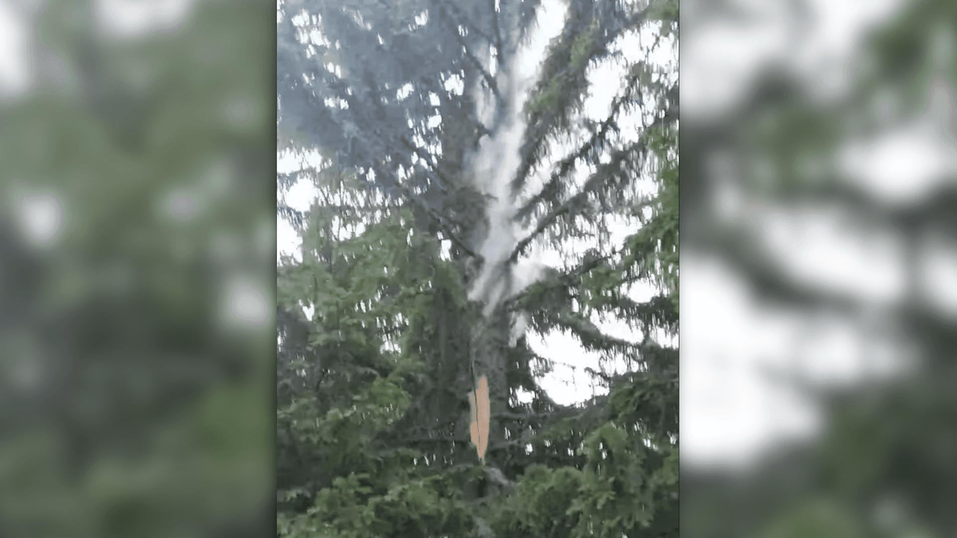 [Video] Incendiu în Parâng, stins de salvamontiști