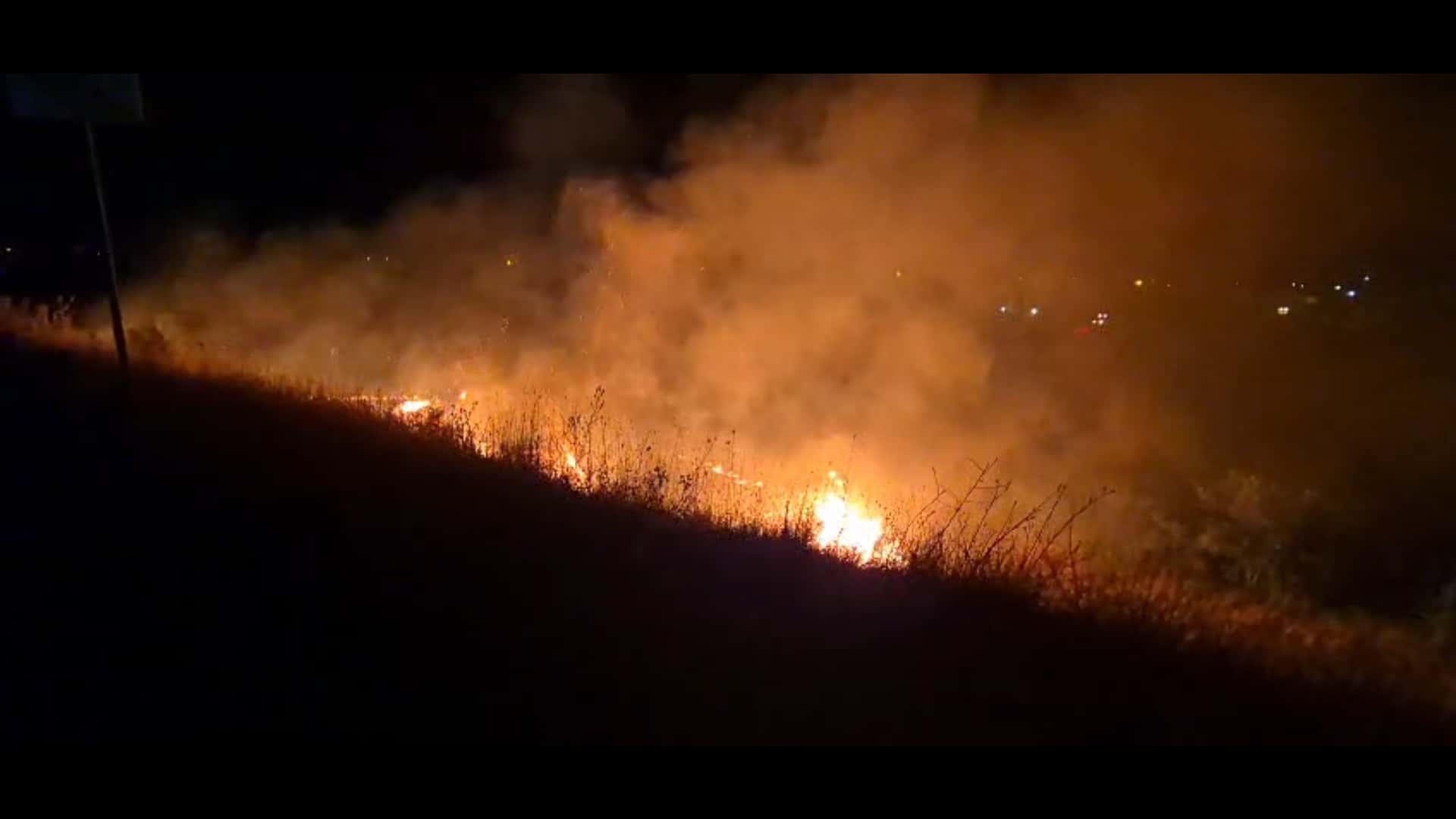 Incendiu de vegetație pe strada Hidrocentralei
