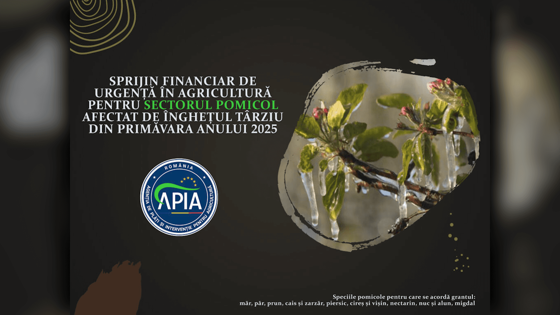 APIA: Termen limită pentru sprijin, după înghețul din 2025