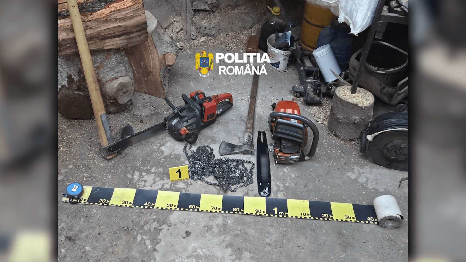 Doi bărbați din Polovragi, acuzați de furt calificat de lemne