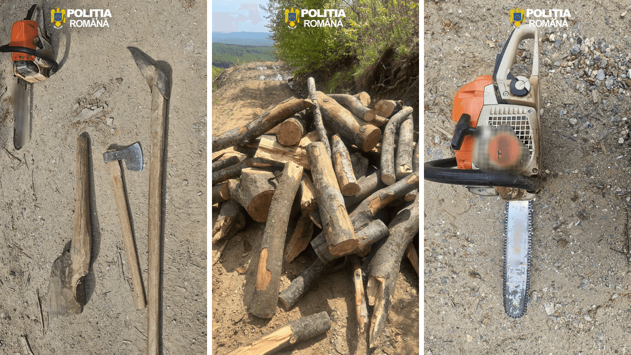 Furt de arbori la Polovragi