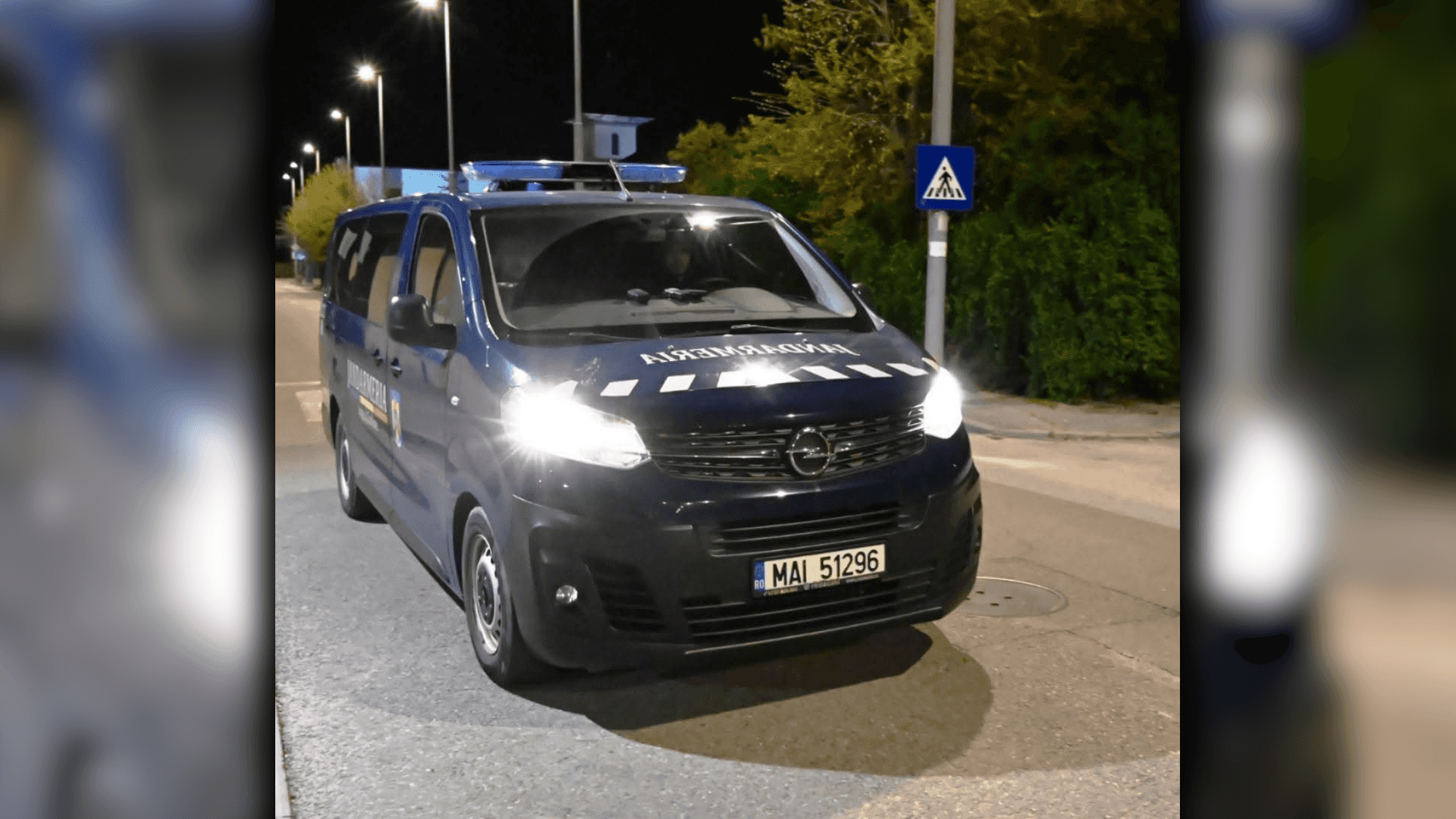 Trei intervenții ale jandarmilor după apariția urșilor în județul Gorj