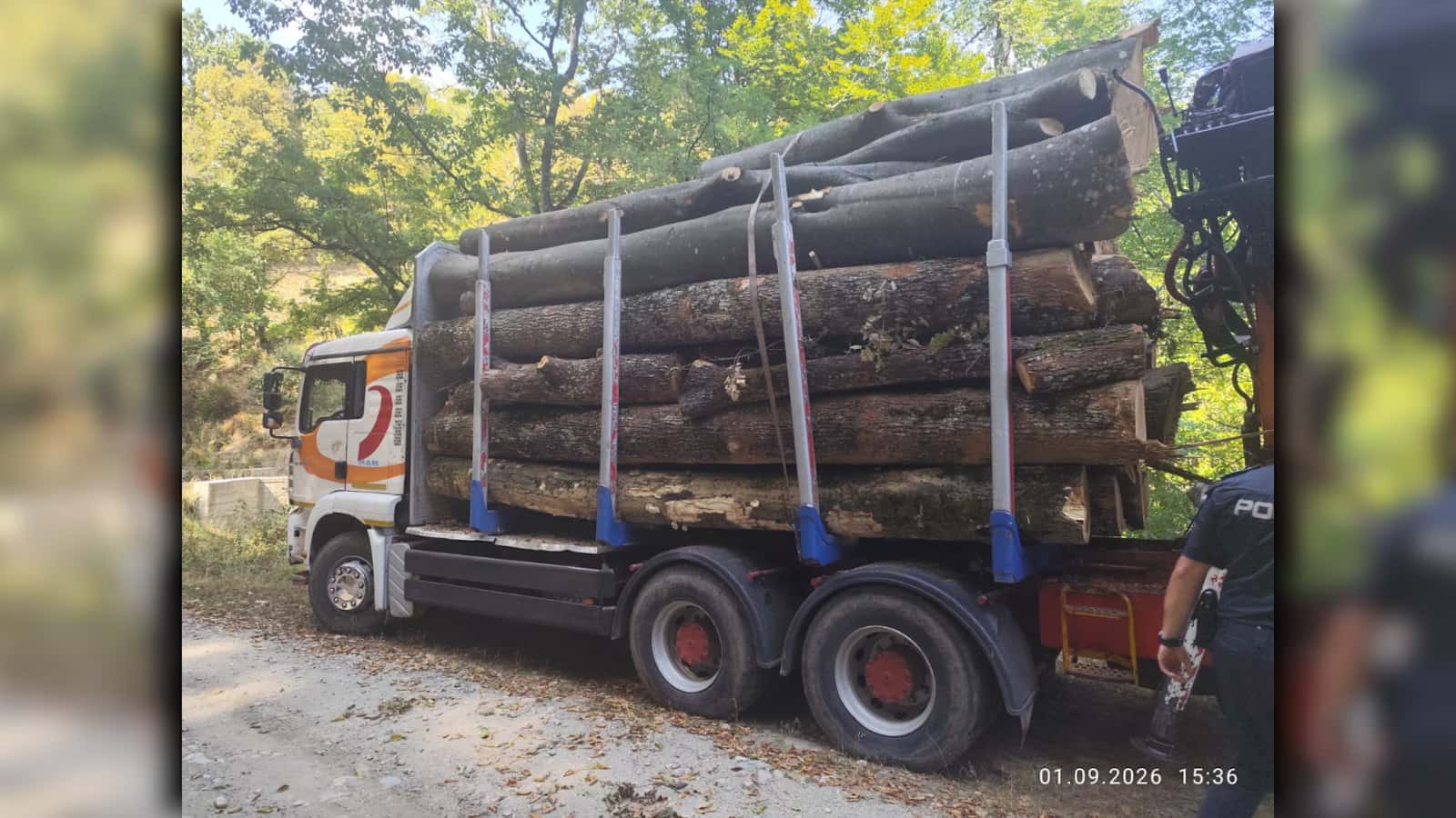 Transport ilegal de lemn, depistat de polițiștii din Tismana