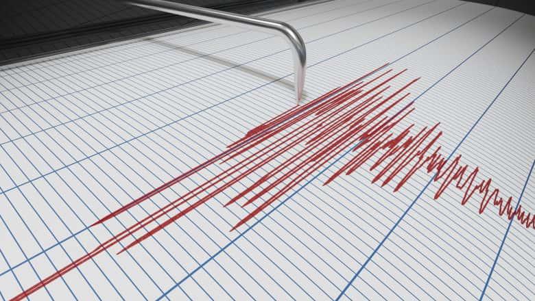 Cutremur de 4,8 grade Richter, la Vrancea
