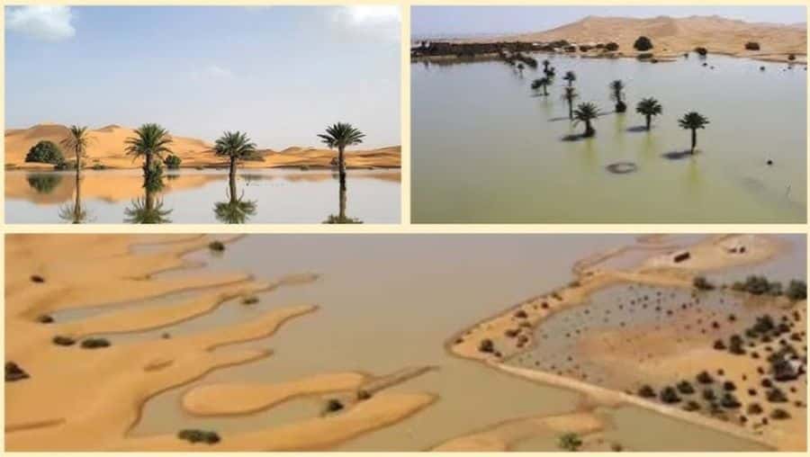 Inundații în Deșertul Sahara