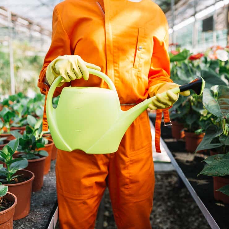 Amenzi usturătoare pentru fermierii români care vor folosi produse de protecție a plantelor