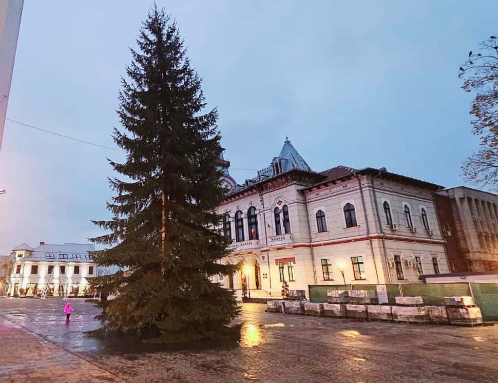 Bradul de Crăciun a ajuns la Târgu-Jiu
