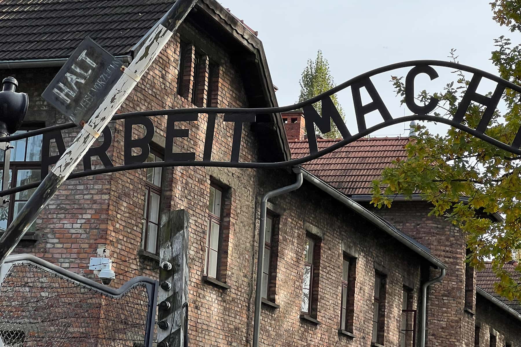 27 Ianuarie - Ziua Internaţională de Comemorare a Holocaustului