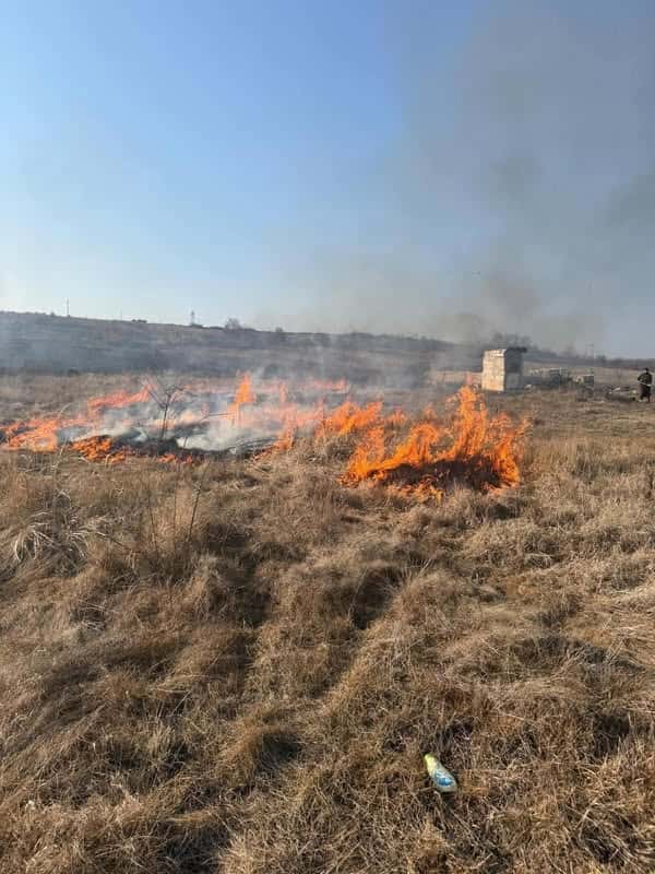 Bărbați amendați după ce au dat foc vegetației uscate