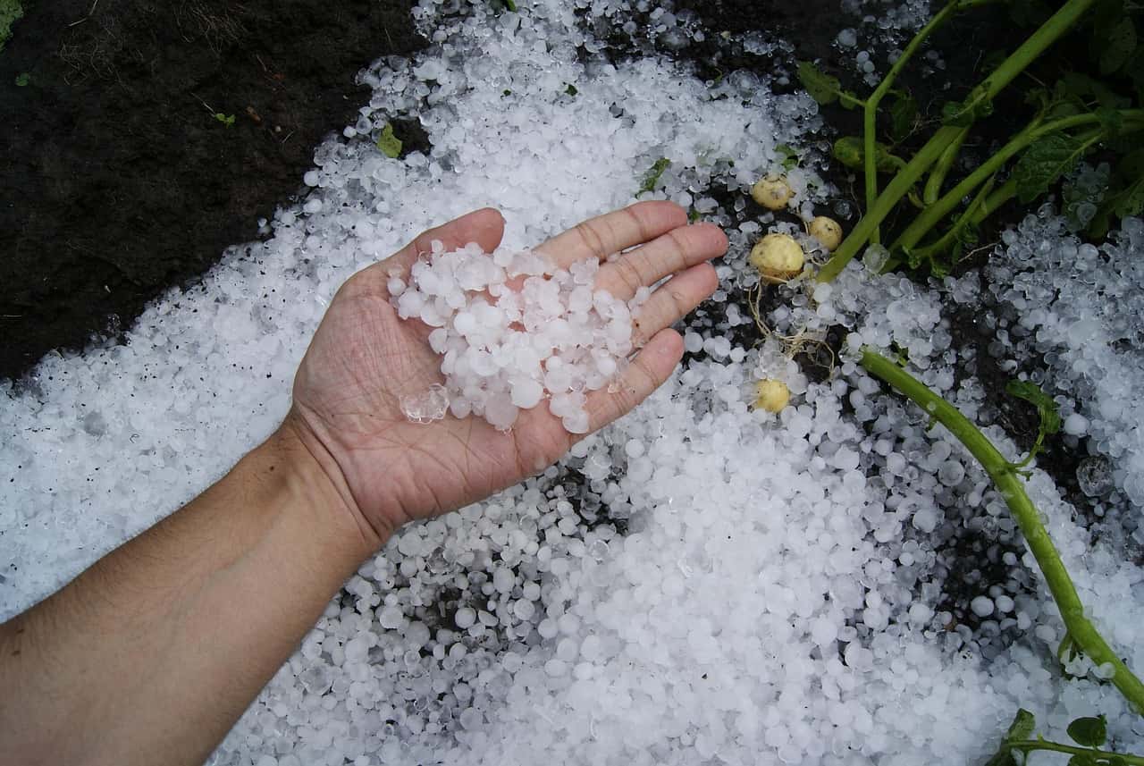 Averse torențiale și grindină în zona montană a Gorjului