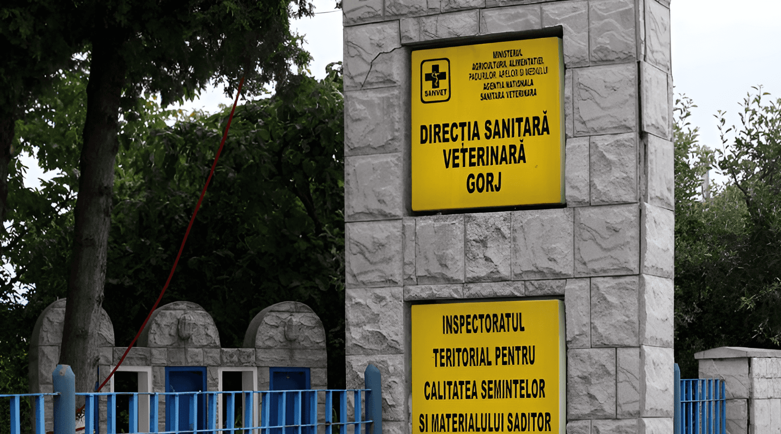 Amenzi de peste 21.000 lei după controale DSVSA Gorj