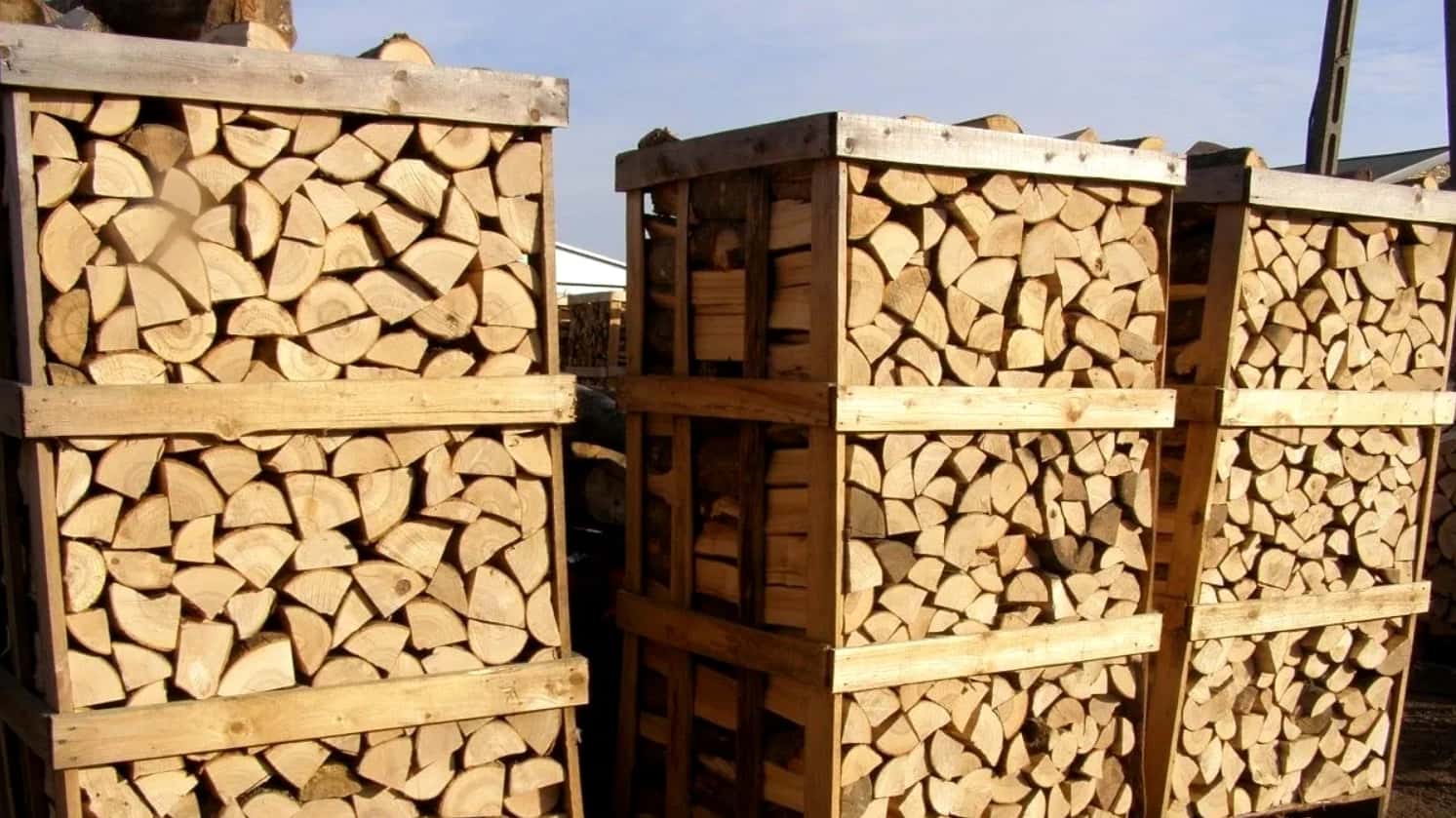 Lemnul de foc, disponibil la ocoale silvice și online