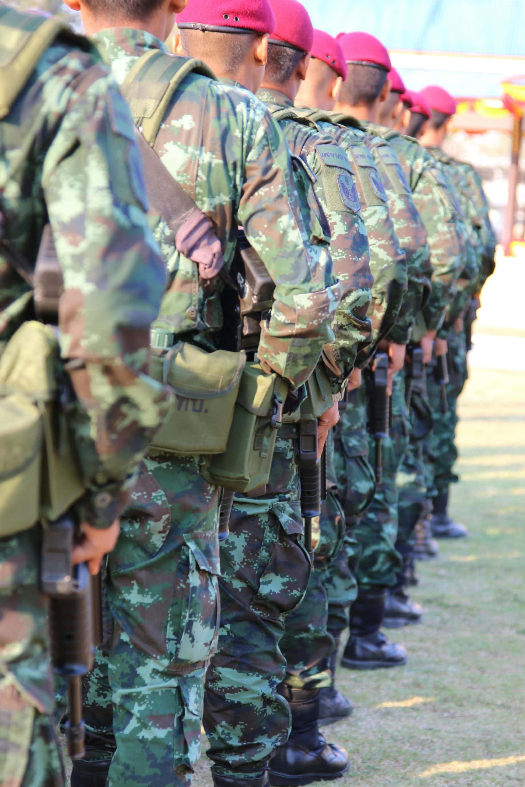 Proiectul de lege care introduce voluntariatul militar aprobat de Camera Deputaților