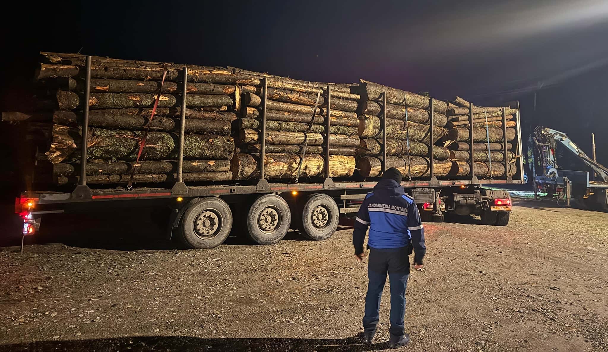 Transport ilegal de material lemnos oprit la Baia de Fier