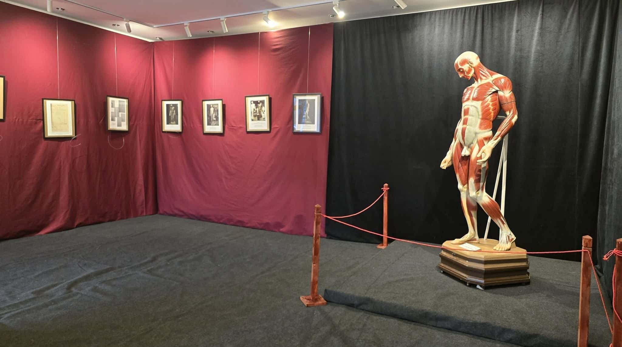 Certificatul de naștere al lui Constantin Brâncuși, la Galeriile de Artă