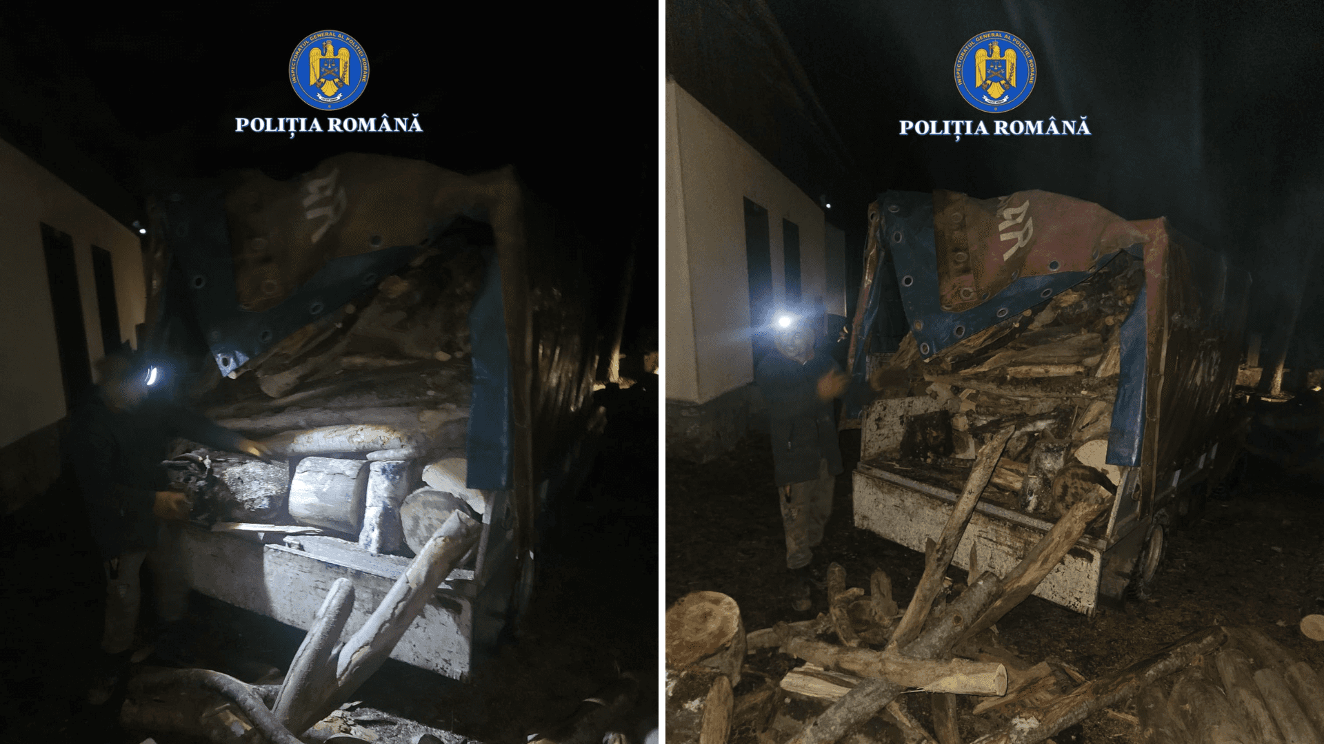 Două transporturi ilegale de lemn, depistate la Polovragi