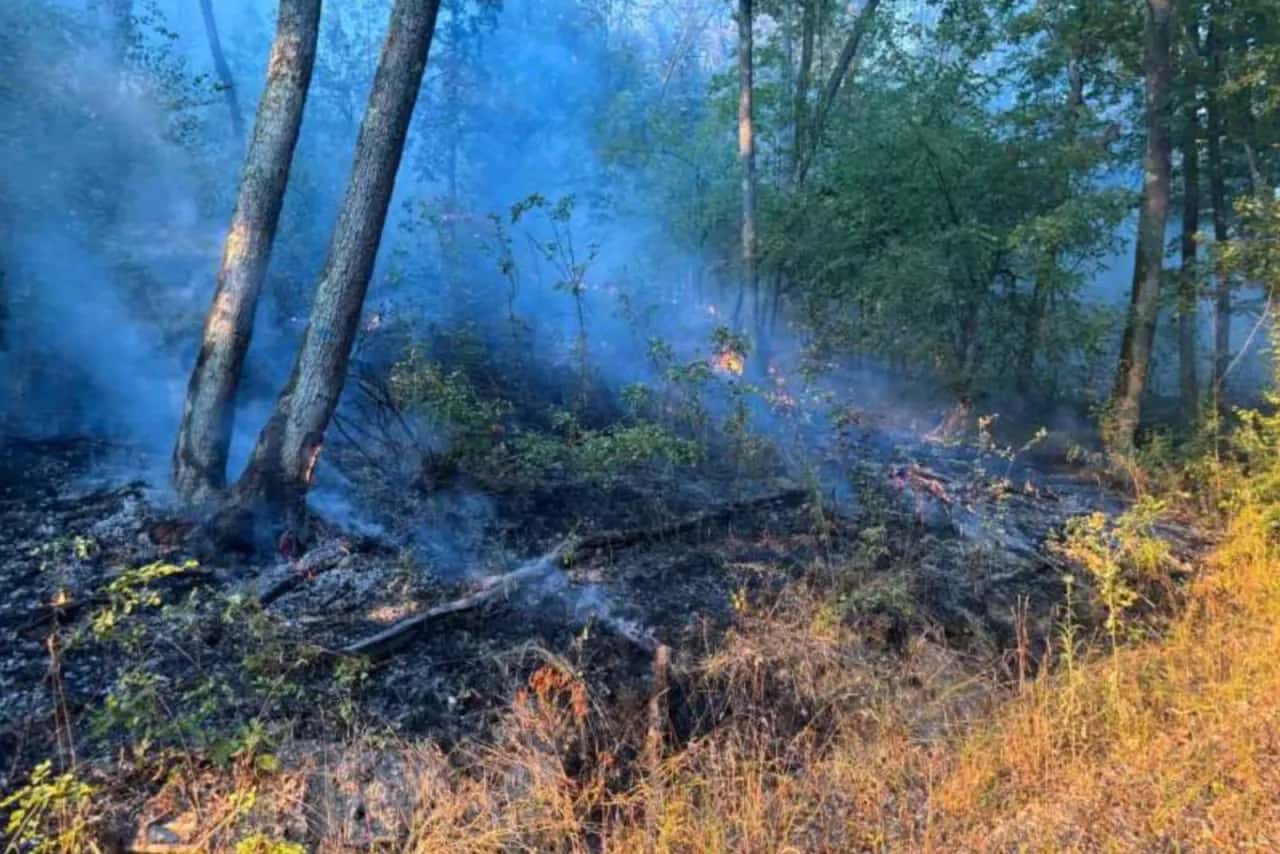 Focul a mistuit hectare întregi, la Hunedoara