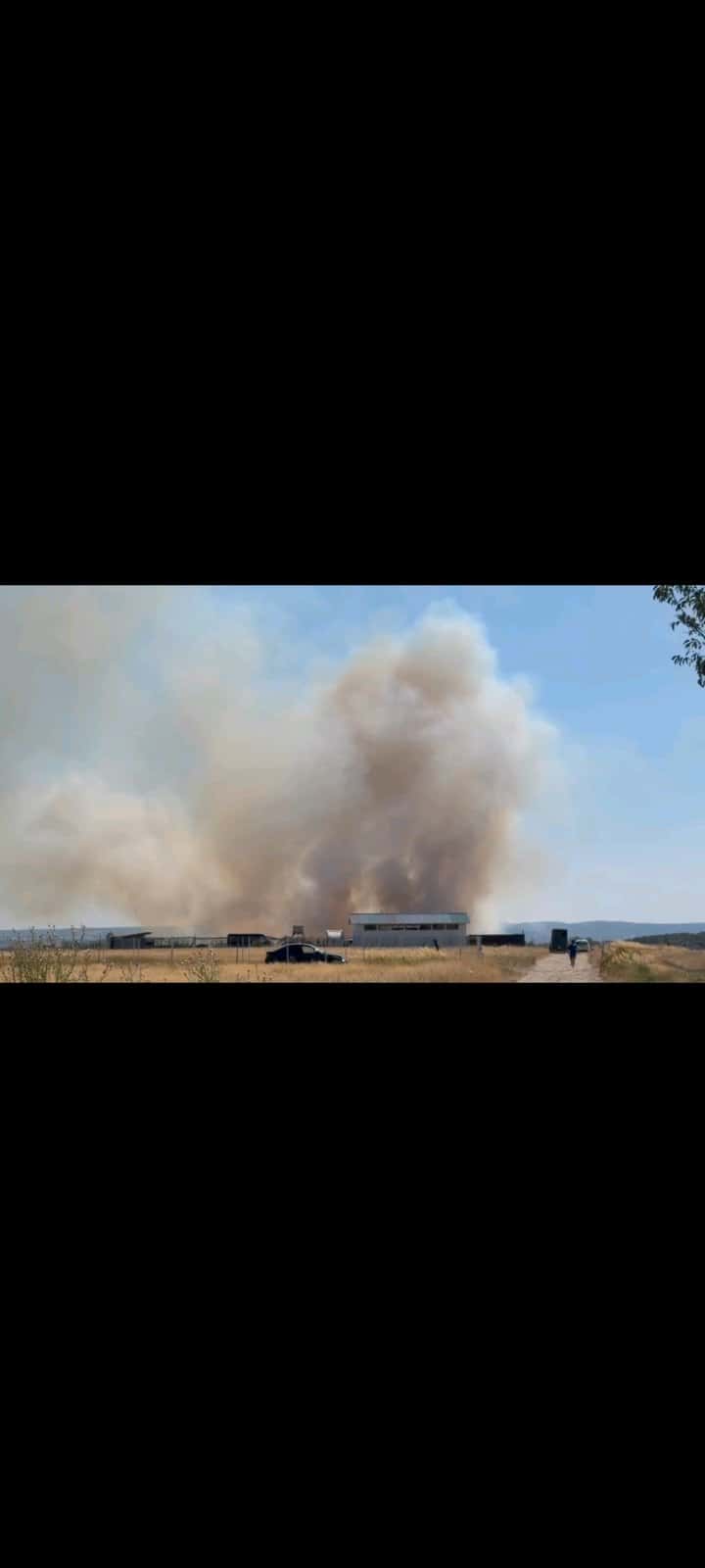 Pompierii gorjeni se luptă cu flăcările