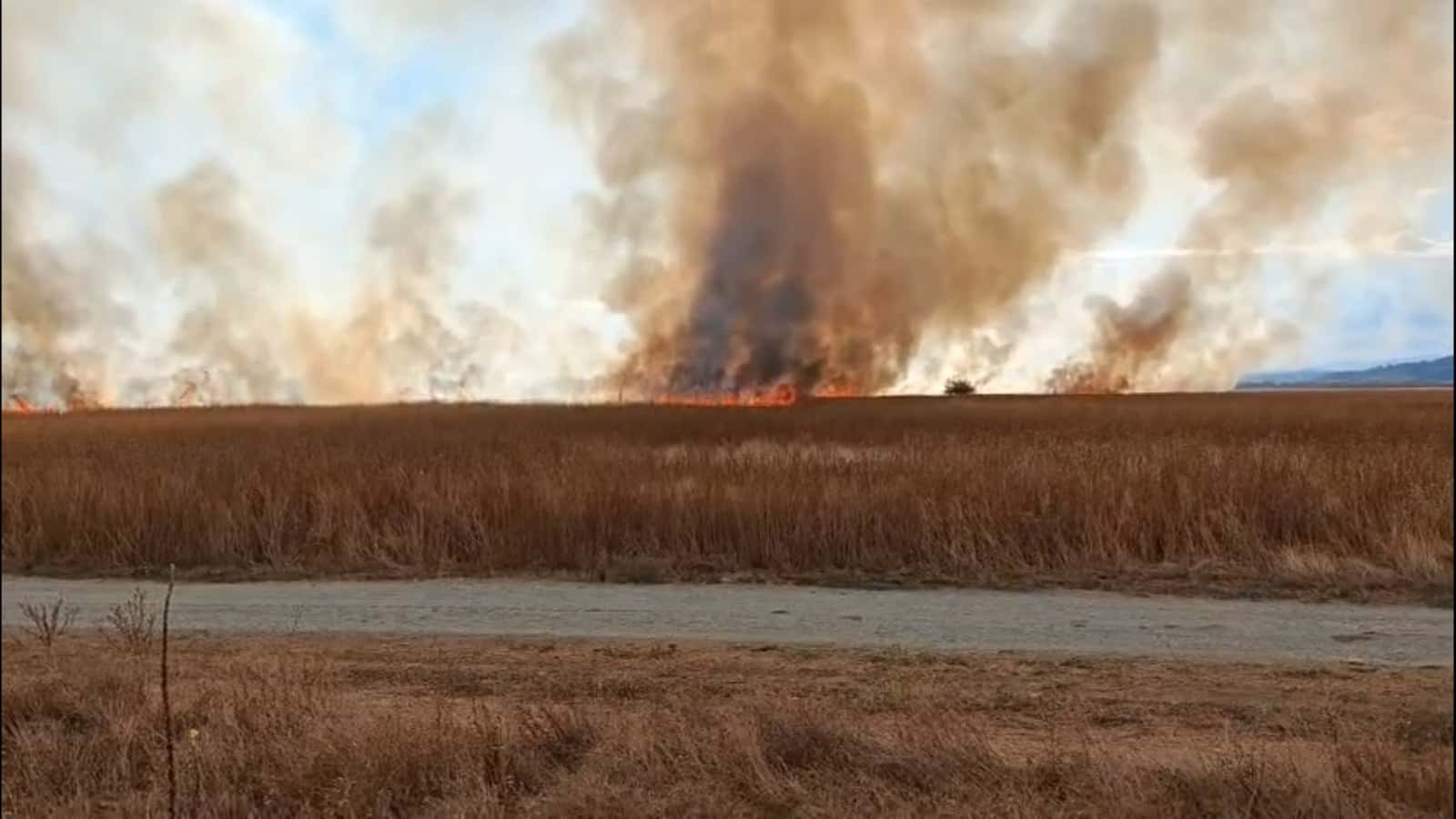 Acum: Incendiu în Târgu Jiu