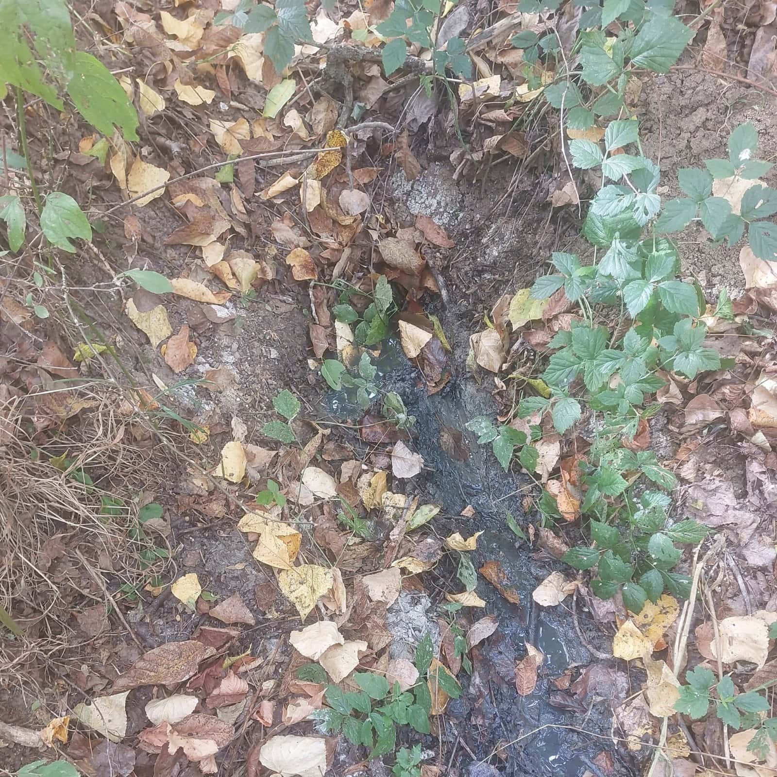 Societate din Stoina amendată de Gardă de Mediu Gorj