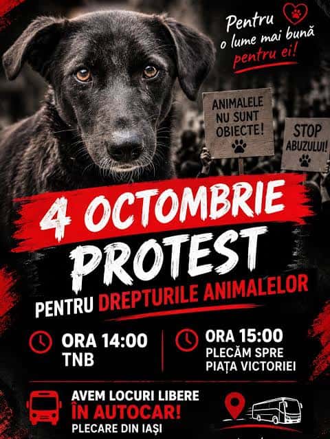 Protest de Ziua Mondială a Animalelor