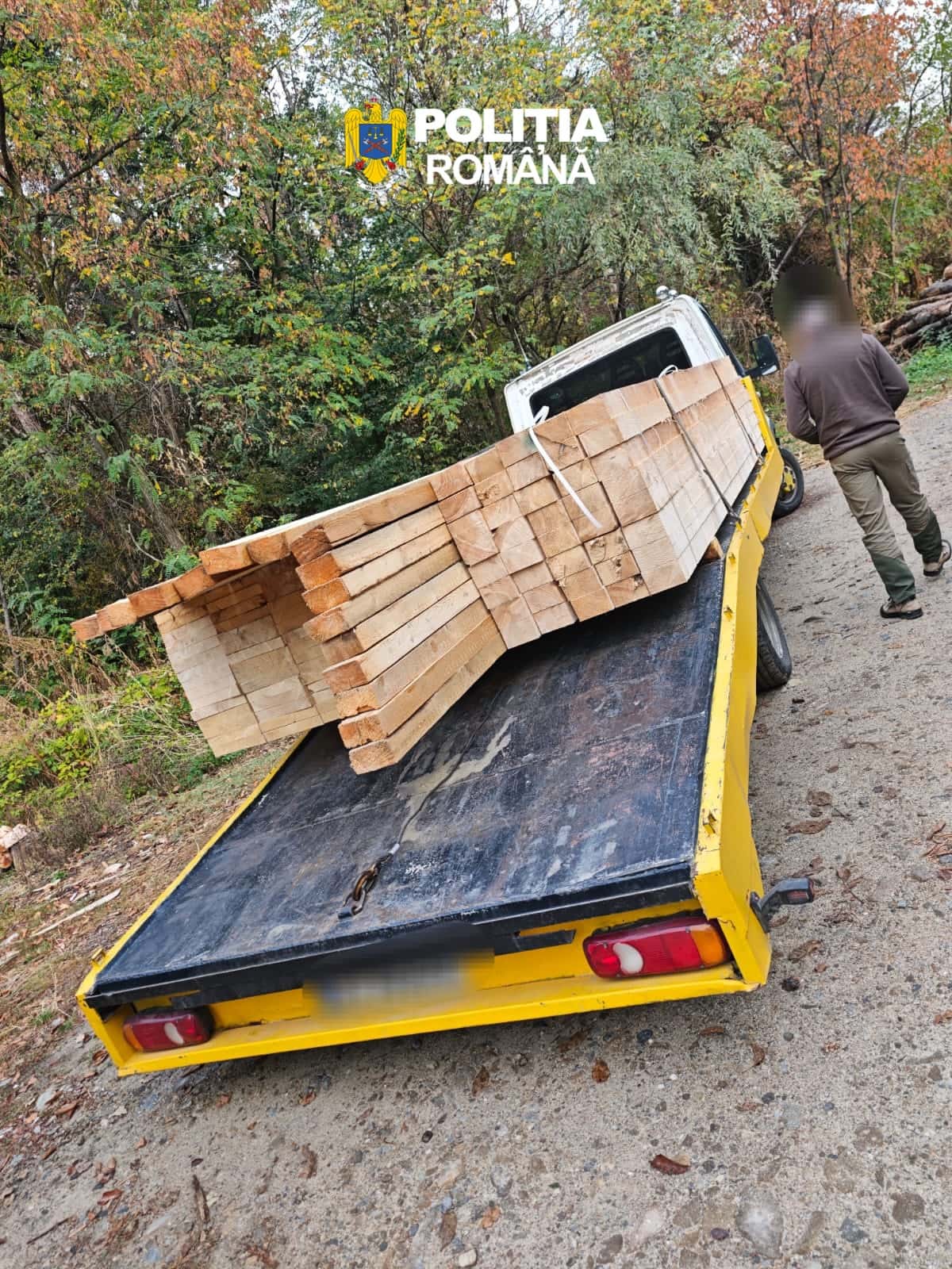 Amendat cu 4000 de lei pentru transport ilegal de cherestea